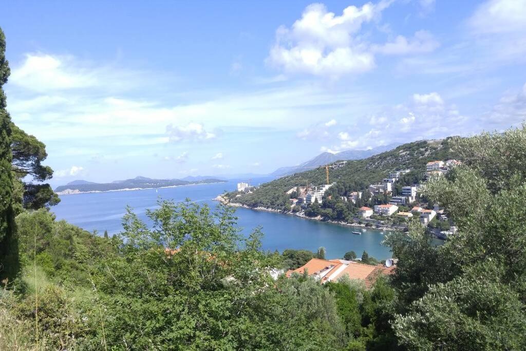 Beachfront Dubrovnik Villa Exterior foto